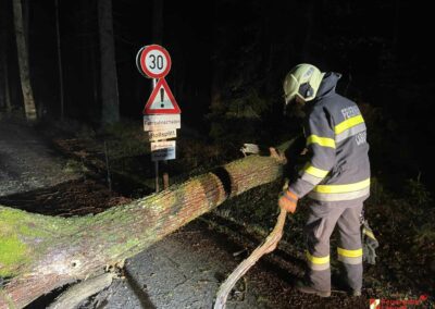 Technische Hilfeleistung/Baum über Straße im OT Laßnitzthal