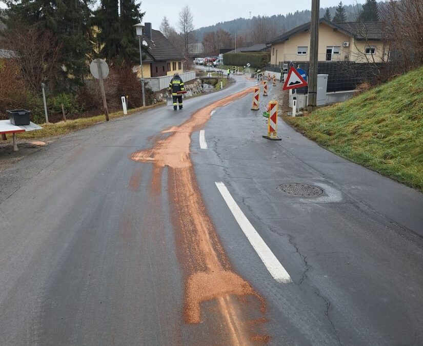 T03|Bindearbeiten ausgeflossener Betriebsmittel im OT Laßnitzthal