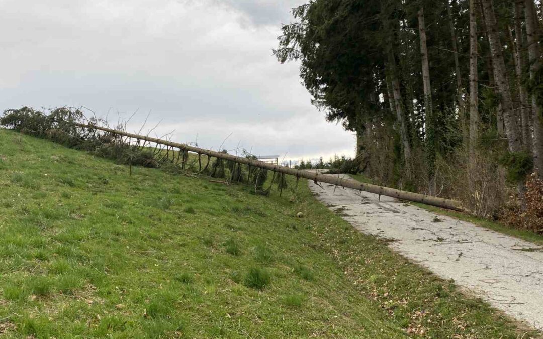 T07 |Unwettereinsatz