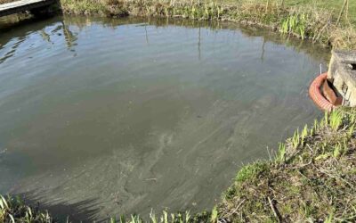 T17 |Schadstoffeinsatz