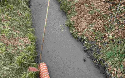 T01 |Folgeeinsätze Schadstoff