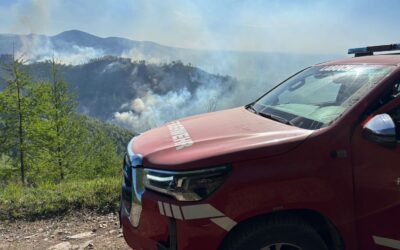 B09 |Waldbrand in Einsbach-Rein